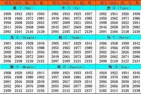 1996屬|1996年1月出生属什么生肖